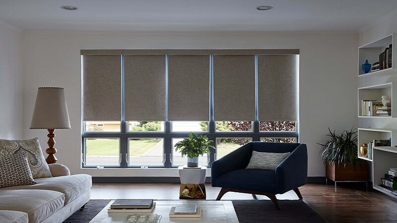 Where to Buy Roller Window Blinds: Your Complete Shopping Guide