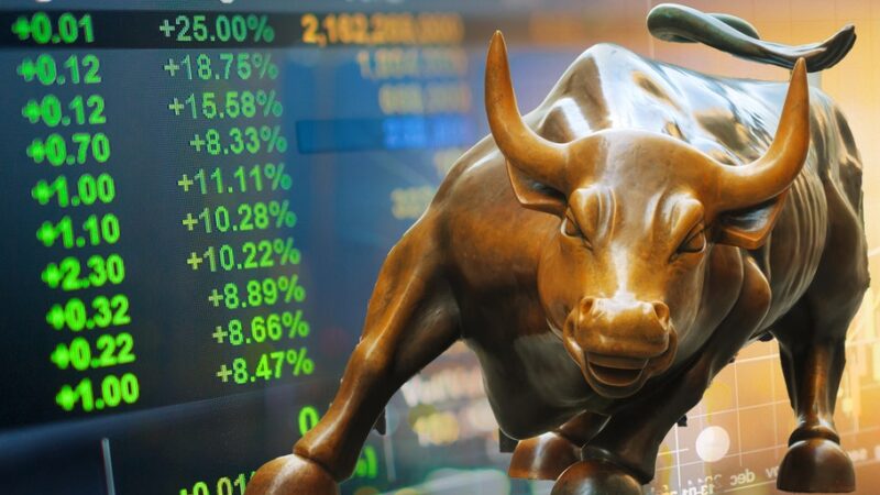 Kavan Choksi Discusses the Approach to Follow When Investing in a Bull Market