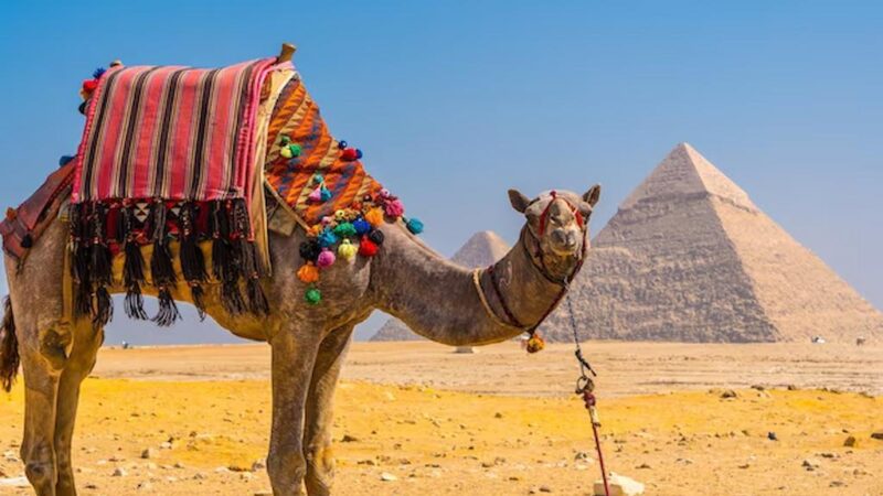 Unforgettable Egypt Holidays For Culture Lovers And Explorers