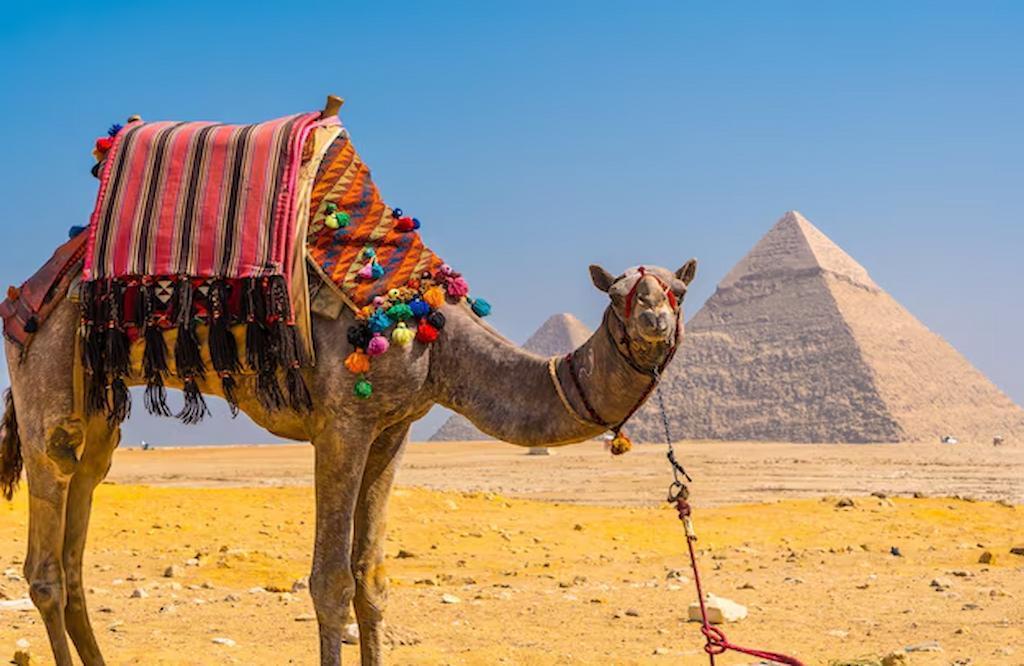 Unforgettable Egypt Holidays For Culture Lovers And Explorers